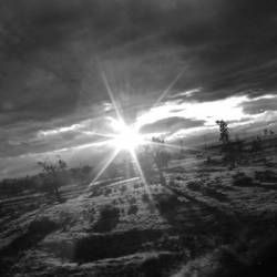 The Will Of A Million : Effervescence